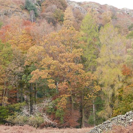 Вилла Beech Улверстон Экстерьер фото