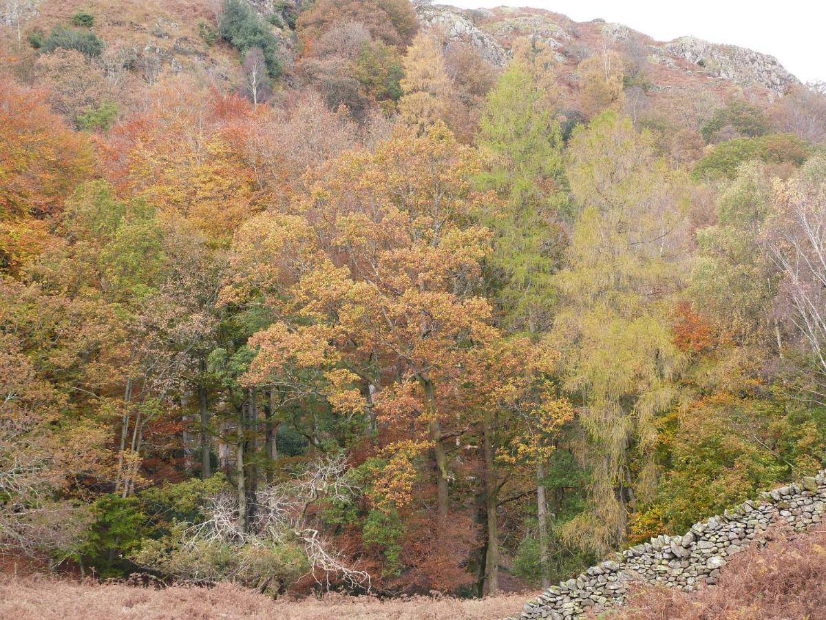 Вилла Beech Улверстон Экстерьер фото